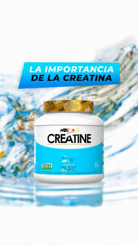 CREATINE ™ CREATINA MONOHIDRATO EN POLVO 200 MESH